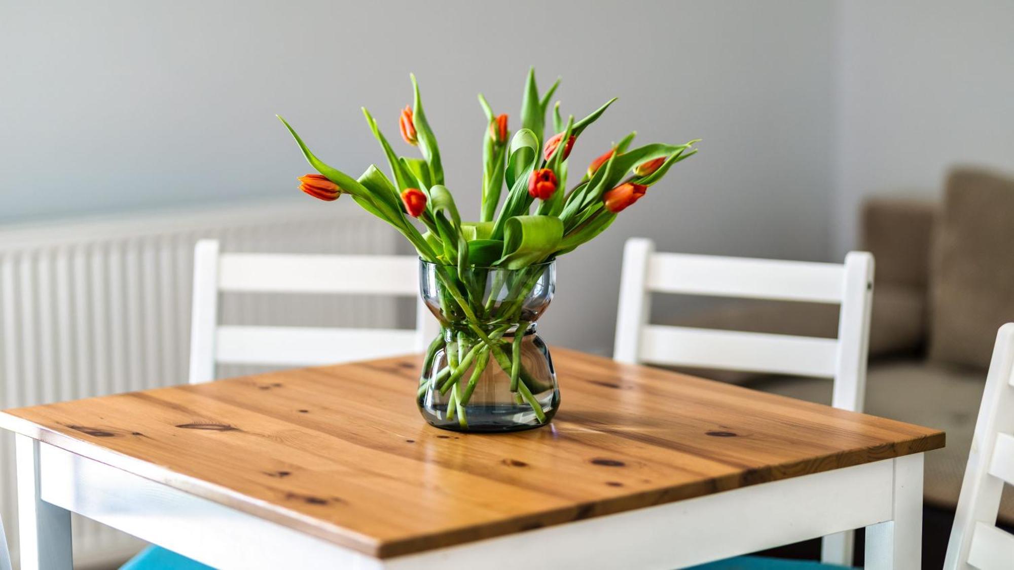 Morskie Apartamenty Przy Plazy Piamola Krynica Morska Bagian luar foto